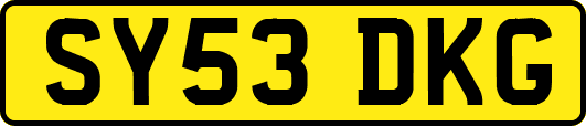 SY53DKG