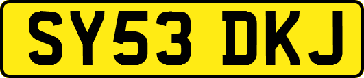 SY53DKJ