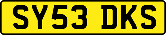 SY53DKS