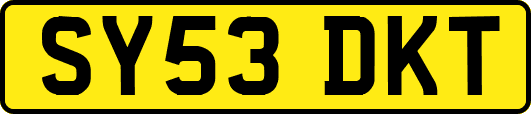 SY53DKT
