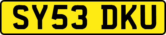 SY53DKU