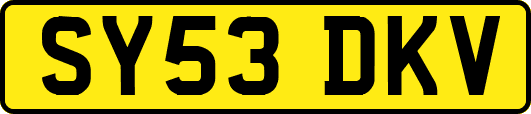 SY53DKV
