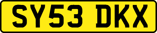 SY53DKX