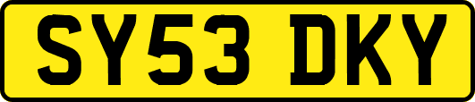 SY53DKY