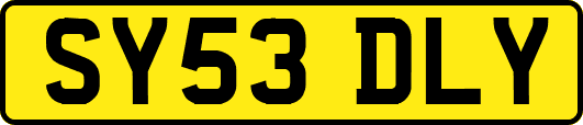 SY53DLY