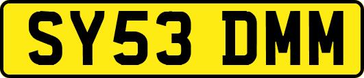 SY53DMM