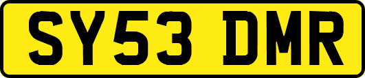 SY53DMR