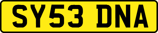 SY53DNA