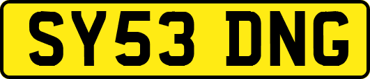 SY53DNG