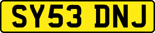 SY53DNJ