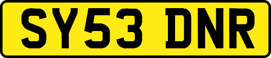 SY53DNR