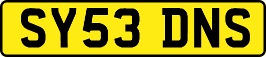 SY53DNS