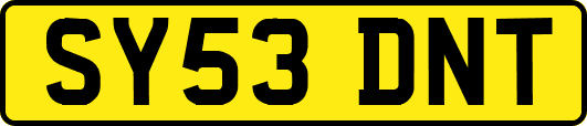 SY53DNT