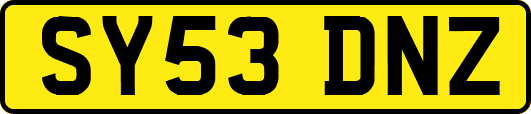 SY53DNZ