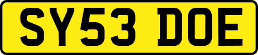 SY53DOE