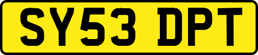 SY53DPT