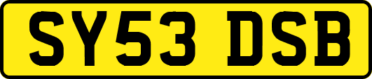 SY53DSB