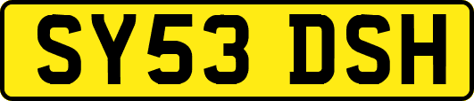 SY53DSH