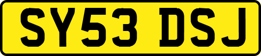 SY53DSJ