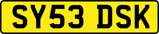 SY53DSK