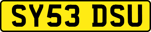 SY53DSU