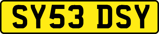 SY53DSY