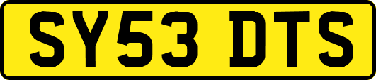 SY53DTS