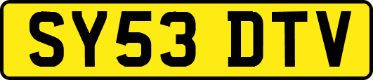 SY53DTV