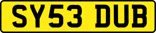 SY53DUB