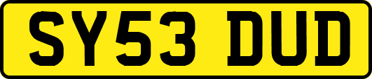 SY53DUD
