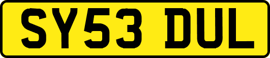 SY53DUL