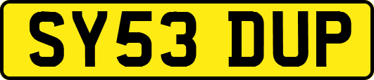 SY53DUP