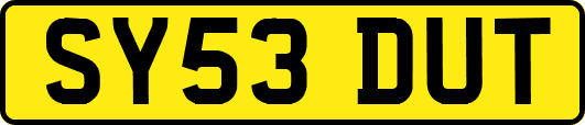 SY53DUT