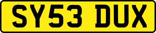 SY53DUX