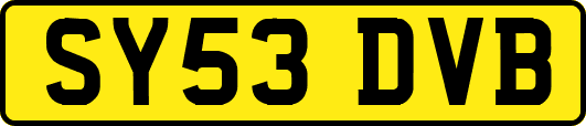 SY53DVB