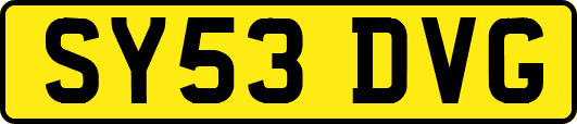 SY53DVG