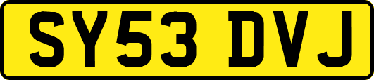 SY53DVJ