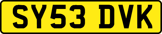 SY53DVK