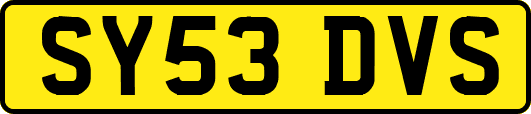 SY53DVS