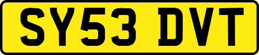 SY53DVT