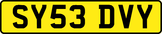 SY53DVY