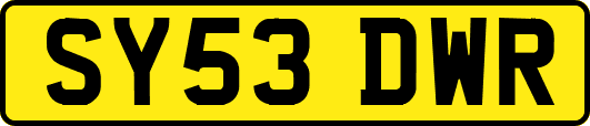 SY53DWR