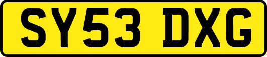 SY53DXG