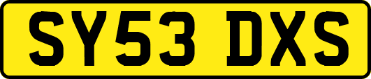 SY53DXS