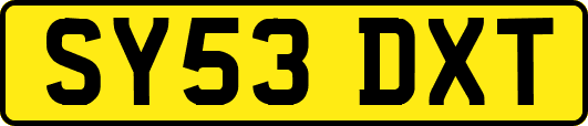 SY53DXT