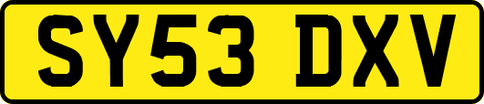 SY53DXV
