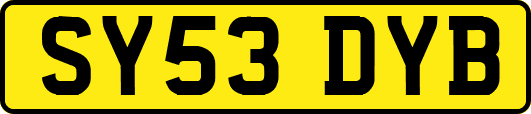 SY53DYB