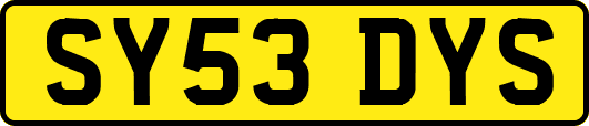 SY53DYS