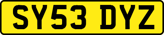 SY53DYZ