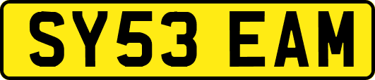 SY53EAM